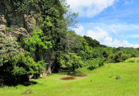 National park - tree, mountain, grass, national park