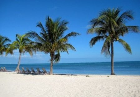 Lovely Beach. The Bahamas. - picture, of, the, a