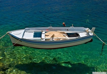 Crystal Clear Below Deck. - picture, of, a, fantastic