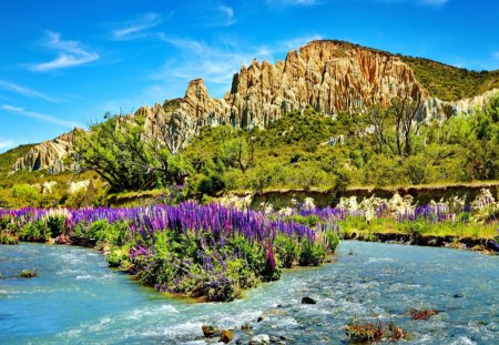 Blue flowers in the middle of the stream - summer, middle, rocks, creek, beautiful, river, nature, mountain, crystal, stream, flow, water, flowers, stones, floating, peaceful, blue, sky, calmness, clouds