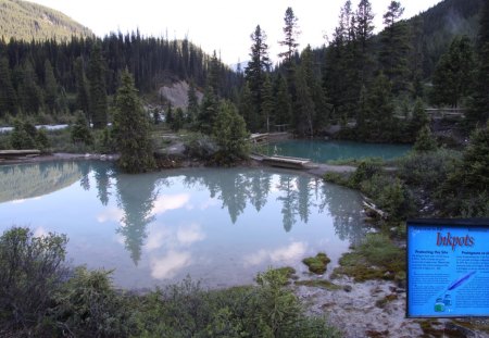 Lake at Johnston Canyon Banff - lakes, trees, photography, green, mountains