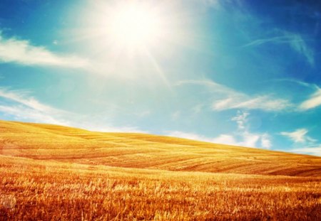 Wheat Field - pretty, fantastic, amazing, great, field, nice, outstanding, super, sky, sun, clouds, beautiful, sunshine, wonderful, nature, marvellous, picture, awesome, skyphoenixx1, adorable, wheat field stunning, wallpaper