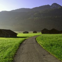 Road to village
