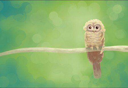 Owl - abstract, graphics, animal, owl, cg