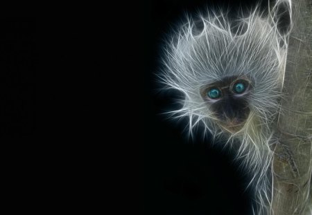 monkey fractal - eyes, animal, monkey, fractal