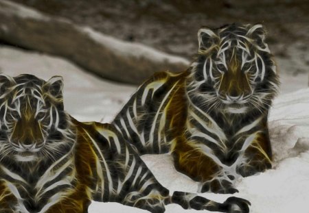 two fractal tigers - tigers, art, wildlife, fractal