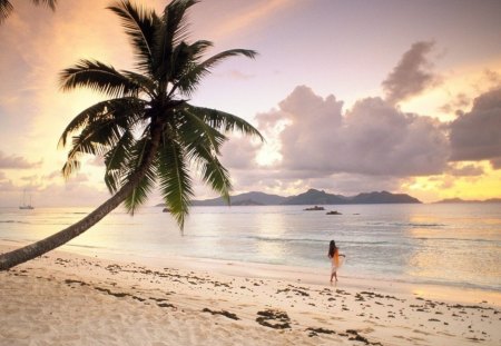 Glowing Beach - person, water, beach, yellow, sun, daylight, ocean, sand, sky, reflection, clouds, people, tree, nature, day