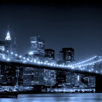 brooklyn bridge in monochrome
