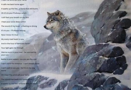 Return To You - abstract, fantasy, wolf, poem, animals