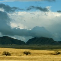 grasslands in arizona