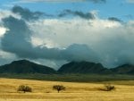 grasslands in arizona