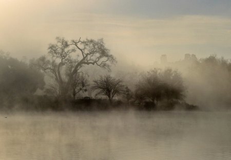 misty morning on a lake - morning, lake, trees, mist