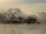 misty morning on a lake