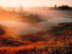 yellowstone marsh at sunrise