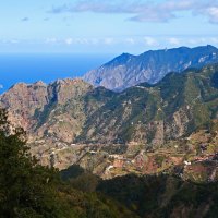 Canary Islands Santa Cruz de Tenerife Spain