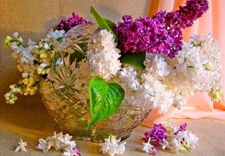 Lilacs and crystal - white, crystal, lilacs, purple, green leaves, bowl, flowers