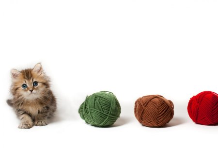 Cute cat - humor, balls, yarn, playing, cat, kitten, funny, cute, animals, kitty