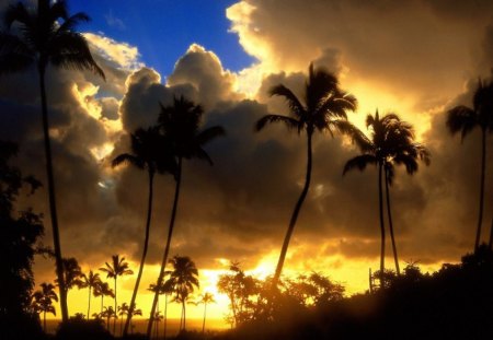 Stormy Sunset.