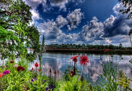 Calmness over the lake - calm, summer, bushes, island, grass, reflection, calmness, flowers, riverbank, lake, water, colors, afternoon, river, nature, green, peaceful