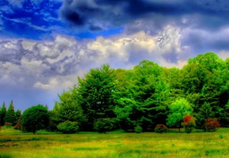 SUMMER CLOUDS - summer, before the storm, clouds, weather