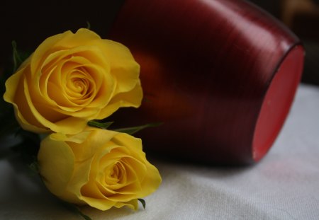 **â™¥â–’â™¥** Birthday Roses for You Di **â™¥â–’â™¥** - flowers, birthday, friend, roses