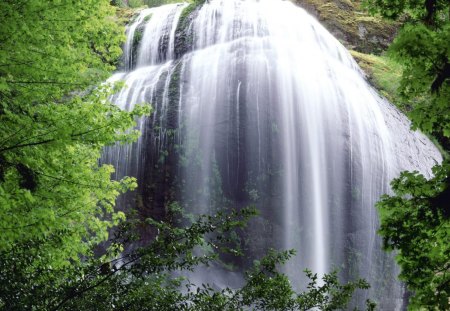 Magnificent Waterfall - trees, falls, day, daylight, water, waterfalls, nature, white, forest, flowing, leaves, green, rock