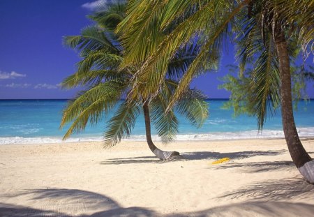 Seven Mile Beach, Grand Cayman Islands - ocean, beach, sky, trees, daylight, day, water, palm, nature, white, clouds, blue, island, sand