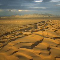 el pinacate biosphere reserve sanora mexico