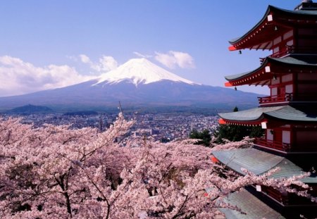 mount fuji - places, trees, buildings, sky