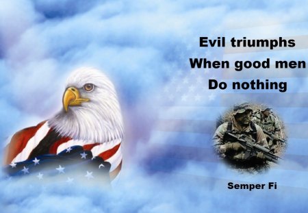 Evil Triumphs - military, flag, usa, usmc