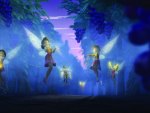 fairies at night