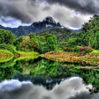 river in jungle