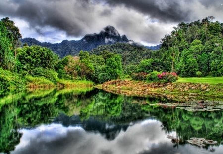 river in jungle - nature, trees, clouds, river