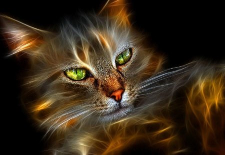 Cat - beautiful, cute, eyes, cat, animals