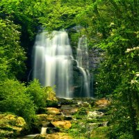 Waterfall in green forest