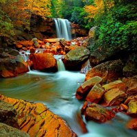 Stream among stones