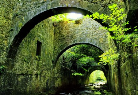 Bridge over the forest river - water, summer, beautiful, creek, stream, forest, lovely, reflection, river, green, nice, tunnel, peaceful, bridge