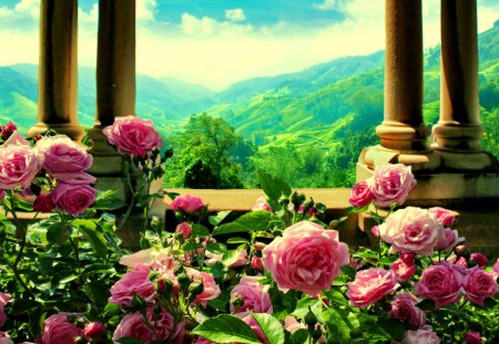 Lovely view - pretty, roses, summer, pink, flowers, view, red, nice, sky, clouds, greenery, trees, beautiful, lovely, nature, green, bright, clear