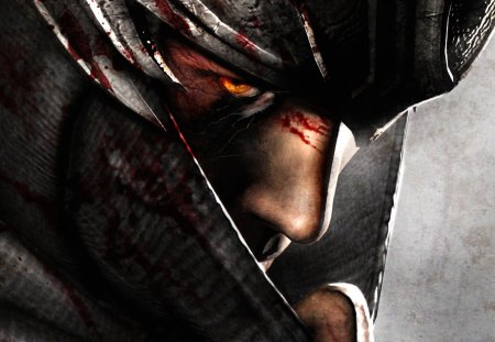 Ninja Gaiden 3 - ninja gaiden 3, game, ninja, fantasy, warrior, action, dark