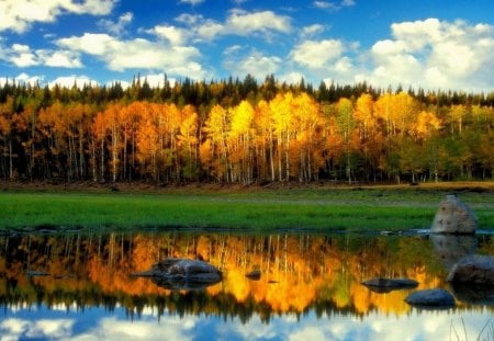 Lake - nature, lake, forest, reflection