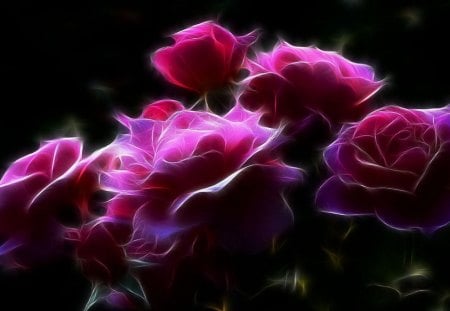 Roses fractal - nature, fractal, flowers, roses