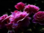 Roses fractal