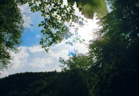 Peek thru View - sky, trees, forest, clouds, suns rays