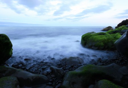 green rocks in a rough coast - sea, vegitation, coast, rocks