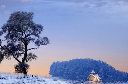 lone cabin at christmas - bush, winter, tree, cabin