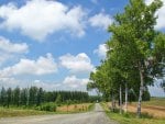 rural road in hokkaido japan