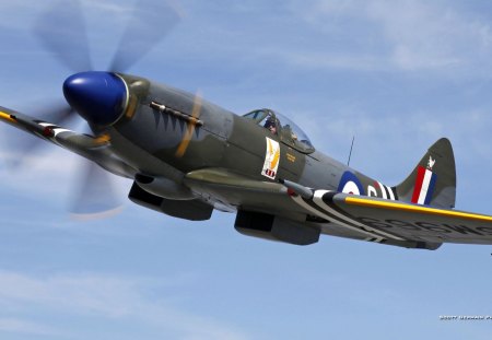 SPITFIRE