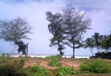 beach hut - hut, nature, beach, peace