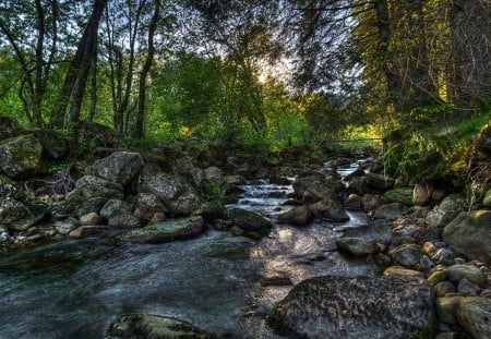 Forest - beauty, trees, sun, peaceful, stream, mountains, sunset, wood, view, green, sunrays, tree, grass, rays, landscape, sunlight, wooden, lovely, nature, woods, forest, river water, beautiful, leaves, splendor, stones, sunrise