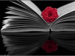 Rose in the Book